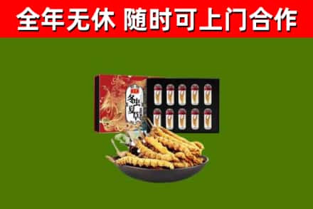 潮南区回收冬虫夏草价格